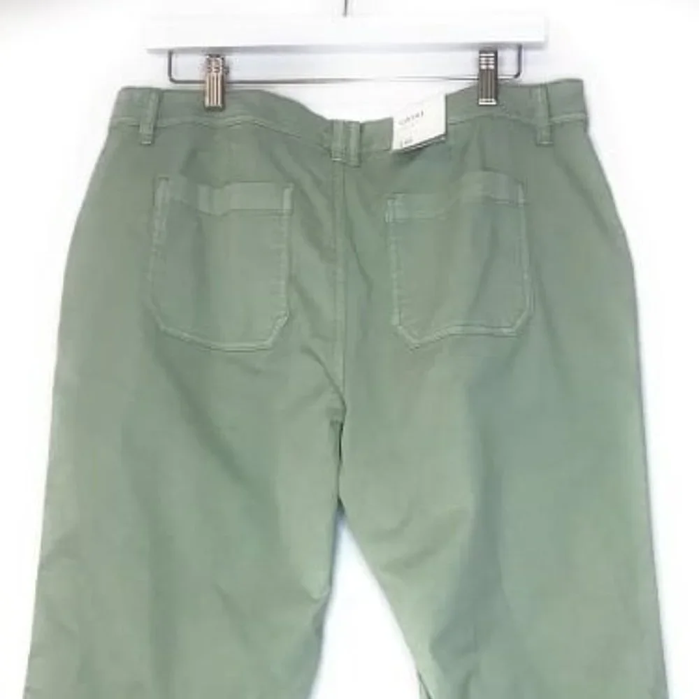 Style & Co Women Green Capri Pants Size 12 NEW
